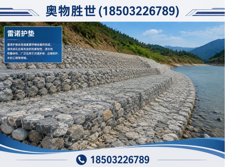 杭州雷诺护垫展示图